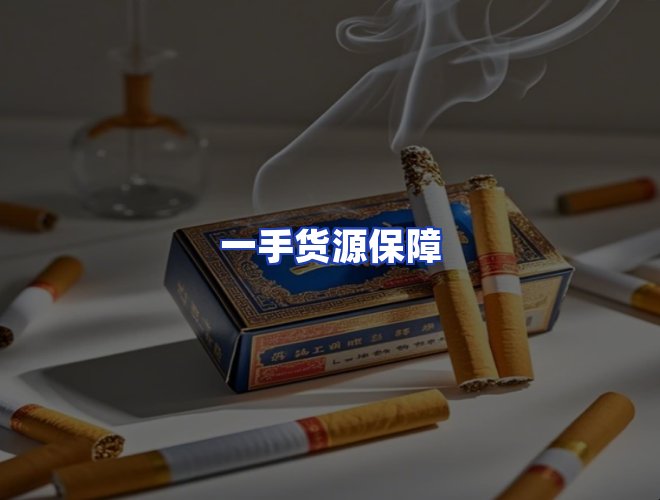 专业团队